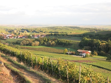 Unser Haus eingebettet in die Natur